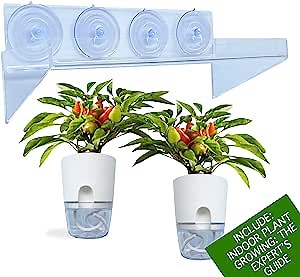 Indoor Window Shelf for Plants (12x5 inches, Clear) - Includes 2 self Watering pots & Expert's growing plant guide - plant window shelf for you Window Garden - Window shelf, suction cup shelf