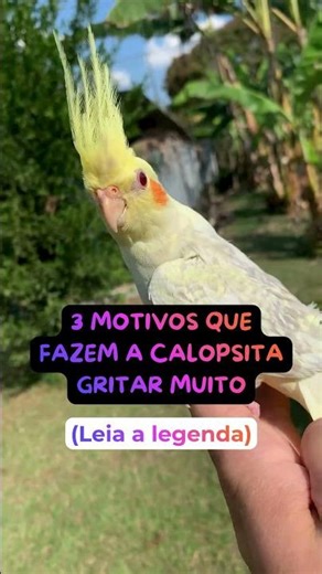 LEIA A DESCRIÇÃO ⬇️