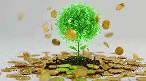 Money Tree with Currency Symbols Grows from Gold Coins with Falling Money Stock Footage - Video of dollar, coins: 389306348