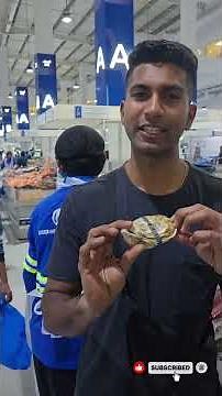 🦐 Shellfish Showdown! 🦪 Meet the Ocean’s Tastiest Treasures!