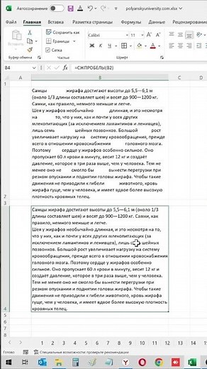 Лайфхак как убрать лишние пробелы в excel