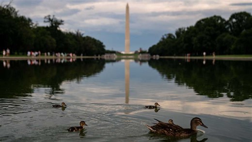 Lincoln Memorial Reflecting Pool work shifts to an 'American flag blue' surface