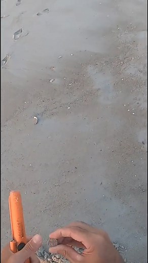 13K views · 235 reactions | The best metal detector for depth The best detector for finding valu#metaldetecting #obsession #shorts #reel | Metal Detecting | Facebook