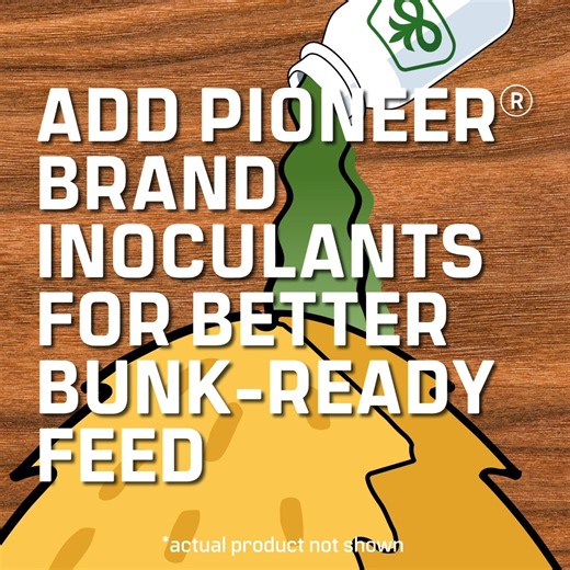 3.9K views · 44 reactions | Better feed starts here.  Pioneer® brand inoculants help maximize digestibility and make the most of your homegrown forages. Learn More: https://bit.ly/46XxEzK #ForageToFeed #PioneerSeeds #inoculants | Pioneer Seeds | Facebook