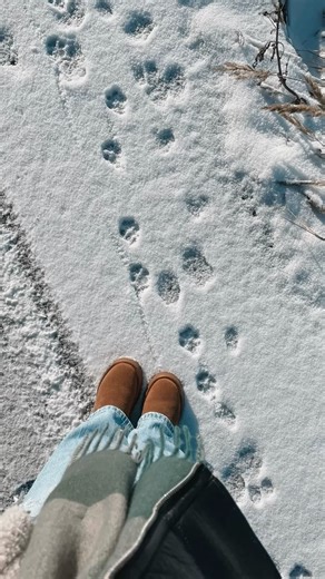 Kavanna Jade | Faith, Fashion & Love Stories ❤︎ on Instagram: "White Christmas >> ❄️❄️❄️ #whitechristmas #holidays #christmas #holydays #winterwonderland #snow #snowsnowsnow #winter #snowisback #snowdayfun"