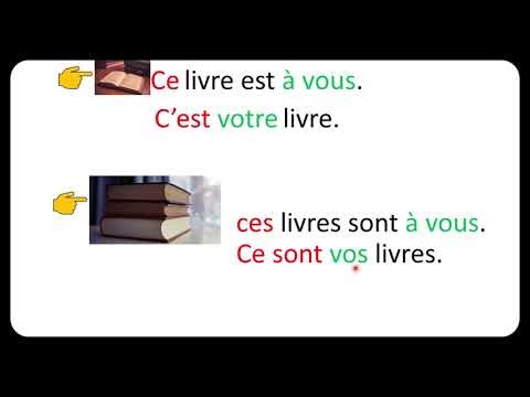 Les déterminants(4): Les déterminants possessifs