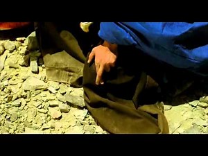 The Fall (2006) - The Best Scene (TBS)