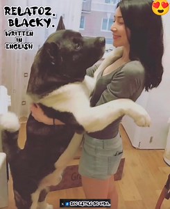 🦄🦄Zoo estilo de vida🦄🦄 🦄🦄Zoo Lifestyle🦄🦄 I don't own any copyrights. Credit to whom it may concern. StoryZ. Blacky. | Jesus Eduardo Gonzalez Jimenez