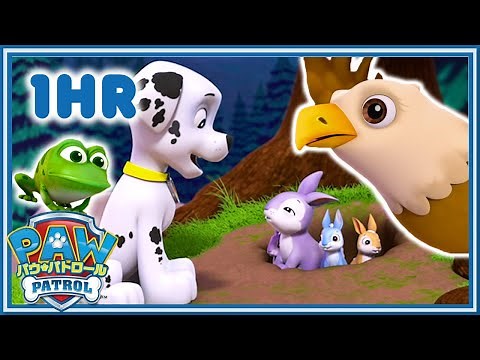 パウ・パトロール | どうぶつレスキュー名場面集１時間! | パウ・パトロール公式
