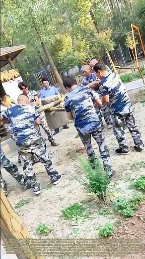 Calling the Cadence: How Synchronized Labor Compacts the Earth