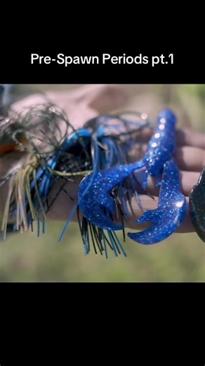 Barb Catch Fishing on TikTok