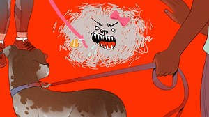 How to Figure Out Why Your Dog Is Aggressive—and What to Do About It