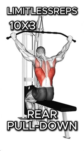 Back Definition 🔥 Pull • Squeeze • Control