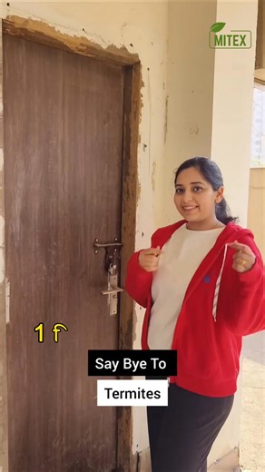 🚫Don't let these silent destroyers cost you lakhs in repairs! Our Natural Termite Killer Spray stops the damage NOW⚠️ ✅ Safe, plant-based formula - no toxic fumes ✅ Used in hospitals, hotels & homes across India ✅ Kills termites instantly on contact ✅ Prevents new infestations for 20 days Shop Now👉🏻 https://www.mitex.co.in/products/termite-killer-spray-for-long-lasting-protection | Pest Control