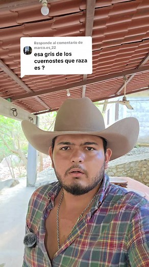 Venta de Vacas Girolandas en Rancho