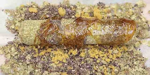 The Ultimate Cannabis Cigar That Burns For Hours! [Sponsored]