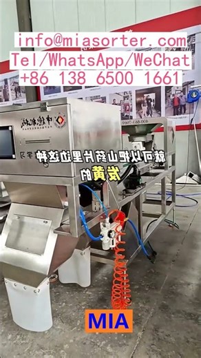 AI Powered Deep Learning Control System For Color Sorting Machine OEM Manufacturer USA India Turkey