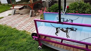 33K views · 228 reactions | Firepaw Standard Dog Treadmill unpacking and collecting www.firepaw.eu Thank you Vereckei Zsanett, Firepaw Hungary for the great video :) | Firepaw Dog Treadmills | Facebook