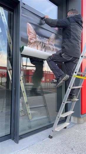 Mouss Saada on Instagram: "Pose d’un adhésif microperf #mouss_saada #ms_elec #et_voila #adhésif @maxizoo.france"