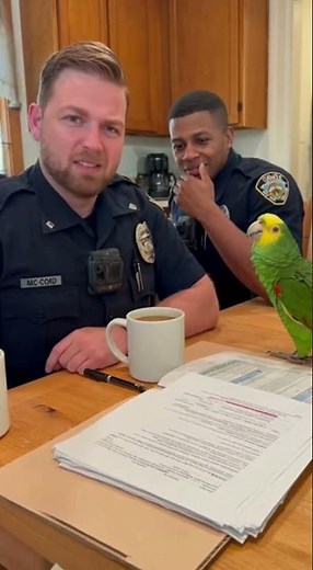 The Romantic Investigator 🦜💀💌 | Parrot Exposes Officer’s Love Life in 15 Seconds 😂