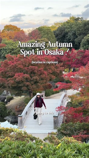 How I explore Osaka through my favorite hidden location