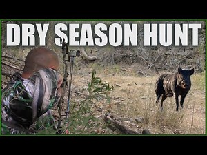 DRY TIMES - Drought, Dust & a Lifeline: The Waterhole Hunt