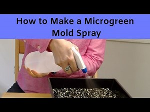 How to Make a Microgreen Mold Spray