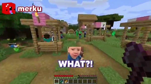 Minecraft Mobhunt But It's Confusing...