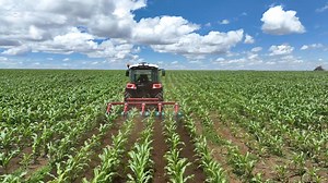 « ny omby indray mandry tsy indray mifoha » « Saonjo iray lohasaha tsy ilaozan' izay hamarara » Toy izay daholo ny zavatra rehefa tsy hoe miaraka natao na novolena dia hoe miaraka mipoitra na hoe miaraka ho tsara . Misy antony ihany ireny , na masomboly na tsy ampy sakafo na misy tsy tomombana tao , fa ireny dia matetika misy foana fa tsy atao mahakivy . Efa mandroso tsikelikely dia izay no zava-dehibe ! Dia izay tsy mahazaka mijery midofotra !!! Fa maninona moa izaho no be zesta mampiseho antsi