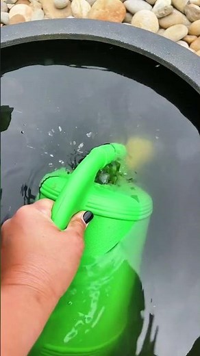 Explaining Rain Chains and Watering Ferns 🌧️ 🌻