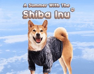 A Summer with the Shiba Inu by Quill Game Studios