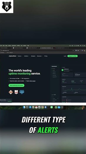 Uptime Robot: Website Pulse & Alerts Explained #shorts