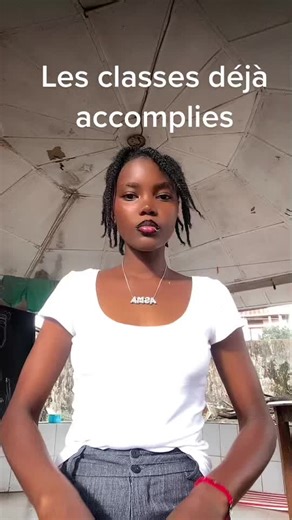 Exploring Educational Levels in French Classes