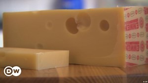Swiss Emmental cheese