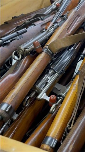 A Closer look at the 🇨🇭 Swiss Rifles from Royal Tiger Imports #militarysurplus #militaryhistory
