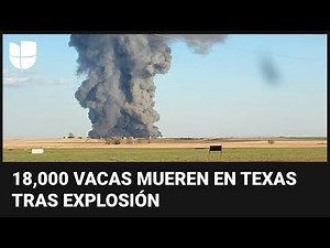 The explosion that caused the largest cow slaughter in Texas on record