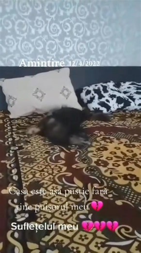 Este atât de grea despărțirea de aceste suflețele 😢😢 | Mariana Maria