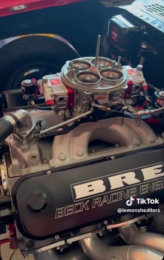 Lemons Headers on TikTok