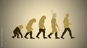 Human evolution stages history evolutionary process animation