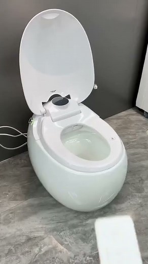 Modern Egg-Shaped Smart Toilet Commode: A Revolution in Bathroom Luxury | Smile E Store