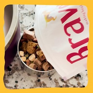 Watch Learn More About Bravo Homestyle Complete Dog Food on Amazon Live