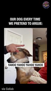 Our dog's wholesome reaction to our fake fight | 7-Second Riddles