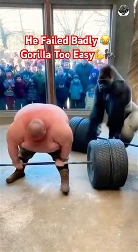 Heavy Man Tries to Lift Hummer Axle Then Gorilla Shocks Everyone #subscribe #shorts