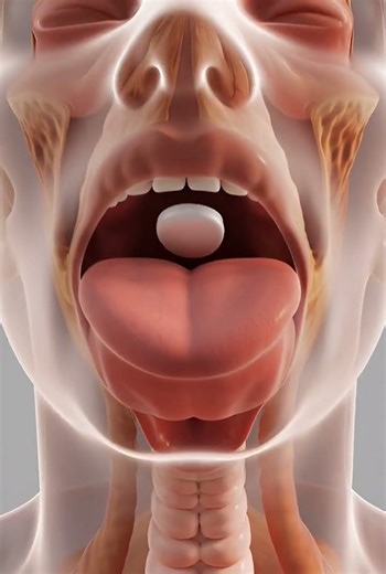 What Happens After You Swallow a Tablet? 💊 | 3D Medical Animation #shorts