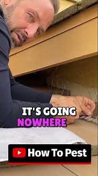 Master the Art of Bird Spike Installation! #birdcontrol #birdspike #diypestcontrol #pigeons