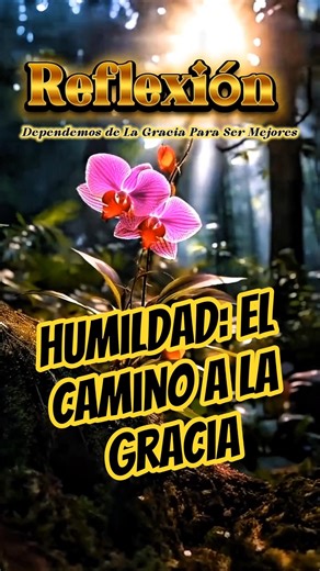 Humility: The Path to Grace #Reflection #Life #Faith #Humility #Message