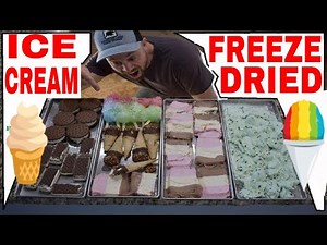 Can You Rehydrate Freeze Dried Astronaut Ice Cream?🍦 #freezedriedicecream