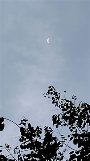 Moon Late Afternoon