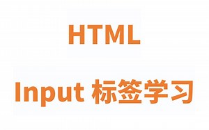 HTMLInput标签