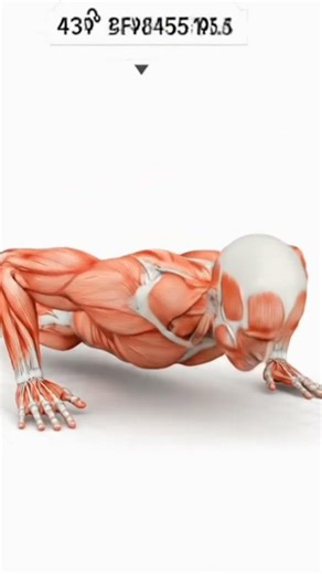 #chestgains#pusup #bodymuscles#trinding #youtube